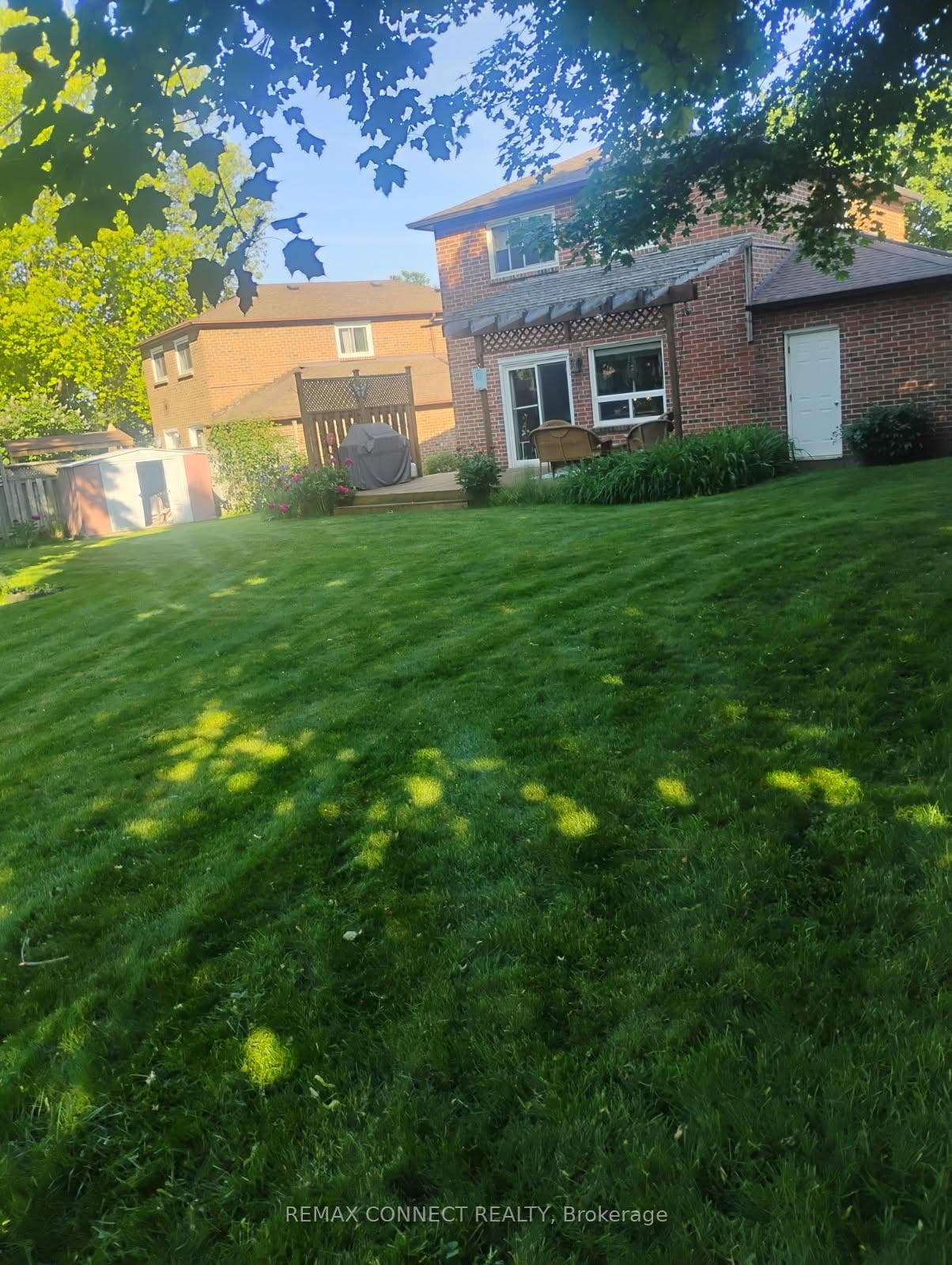 10 Nicholls Court photo 47