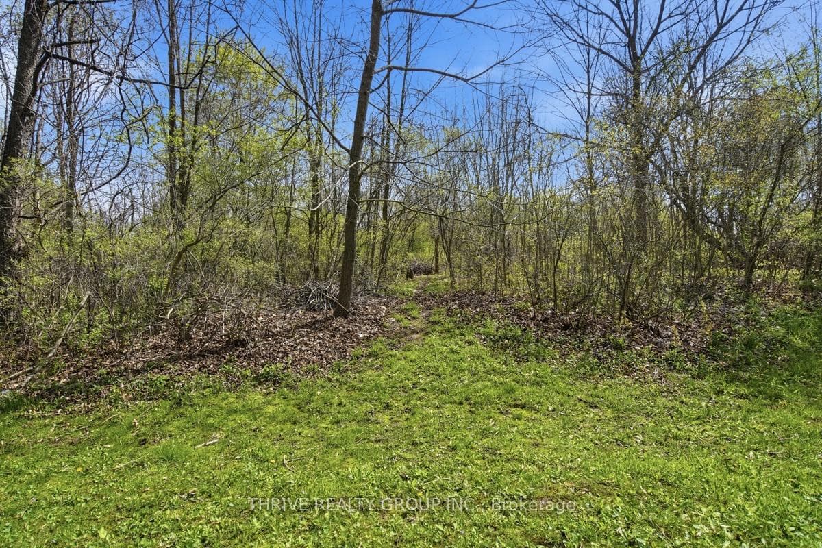 52 WYNFIELD Lane photo 46