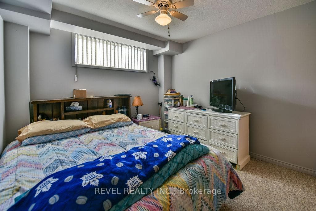 98 Shirley Street photo 33