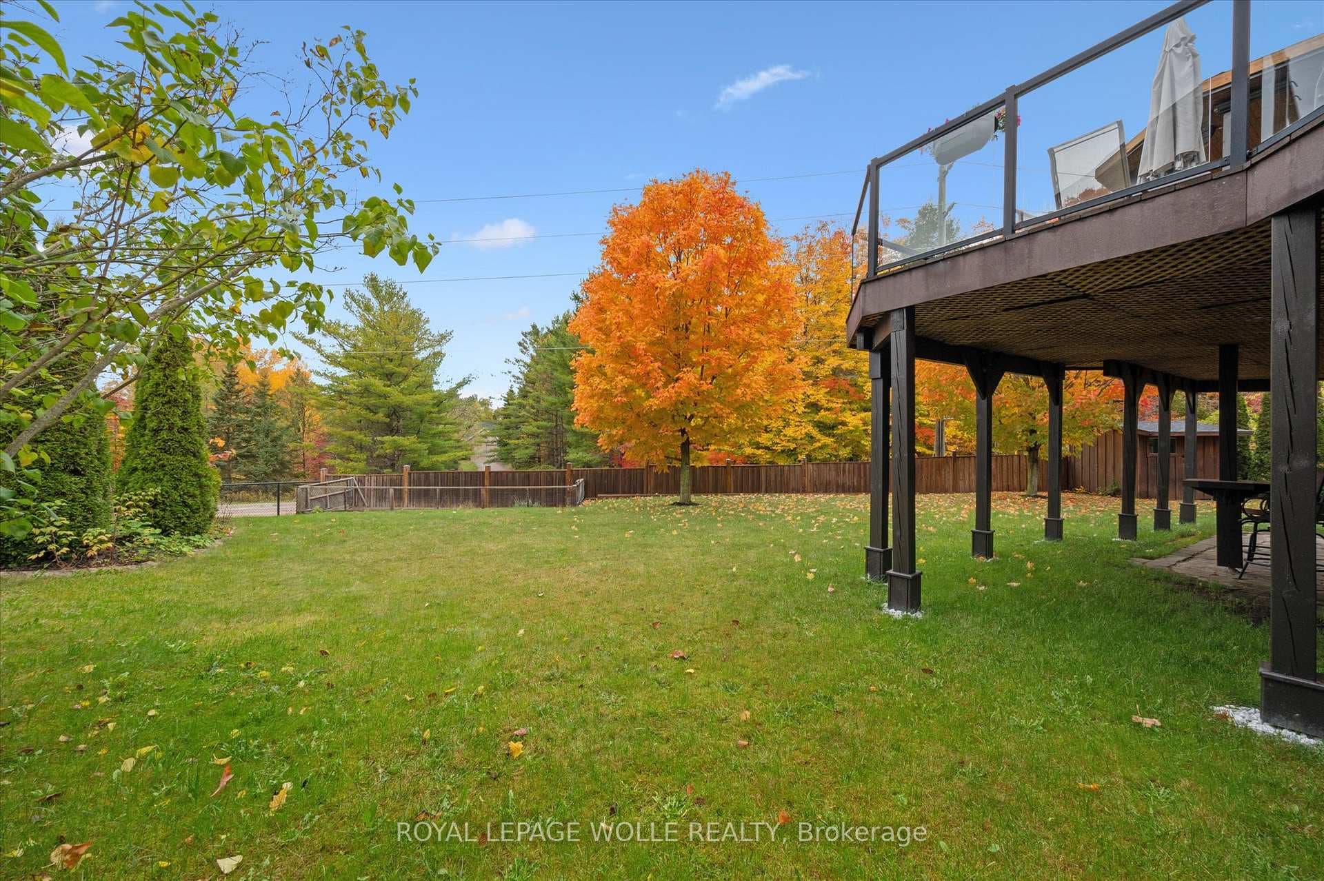 531 Wood Nettle Way photo 35