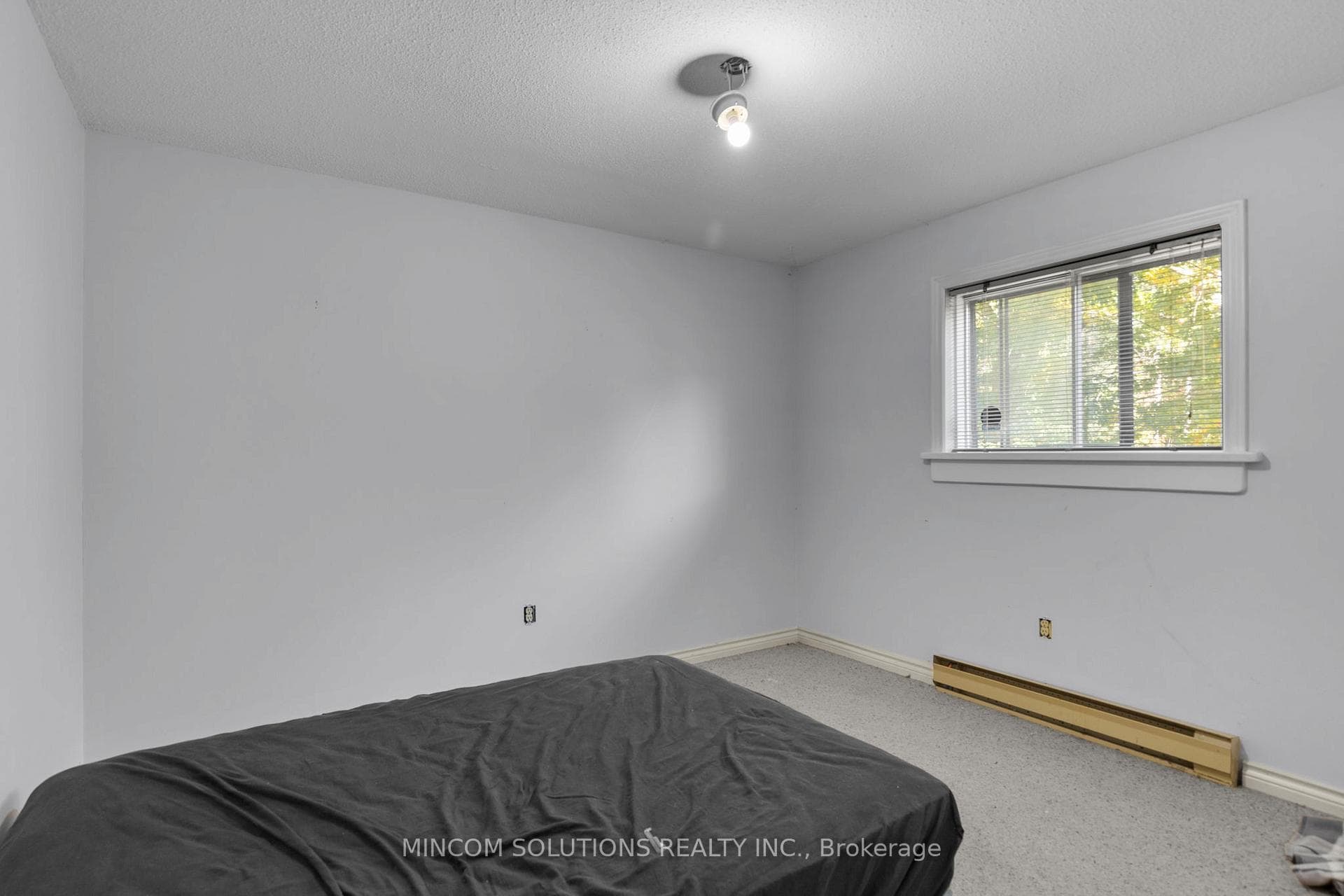 61 Ronald Avenue photo 16