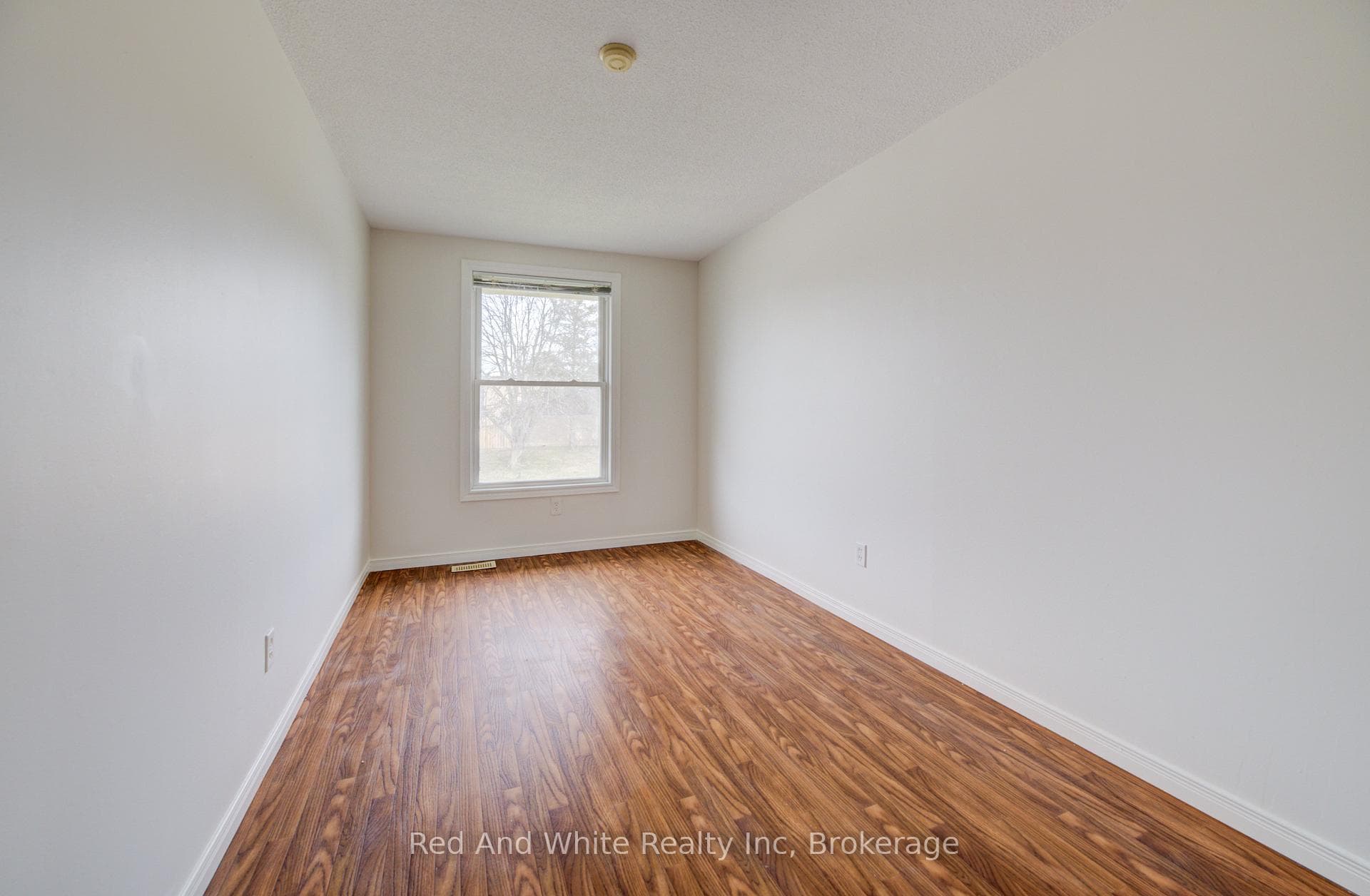 43 Ferguson Avenue photo 13