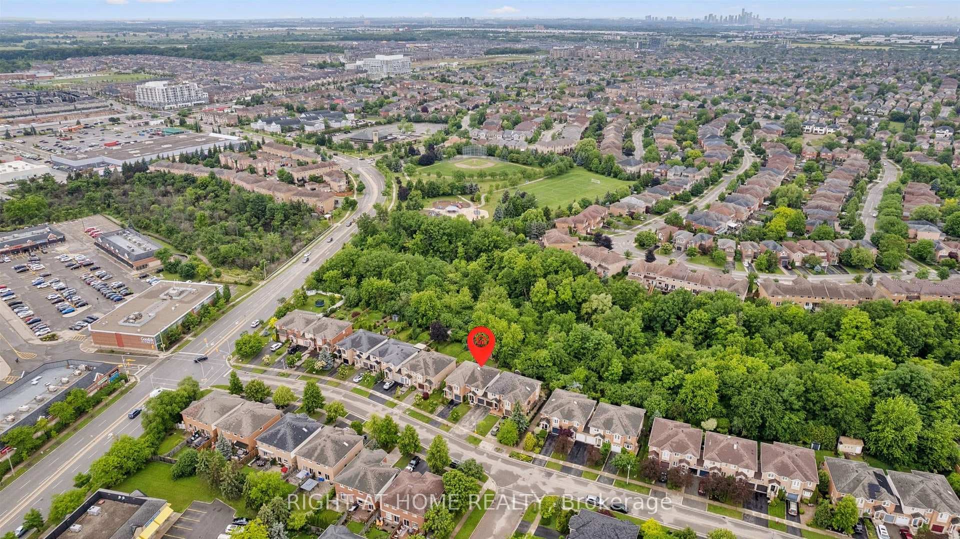 Morrison Valley North ravine beyond the backyard.