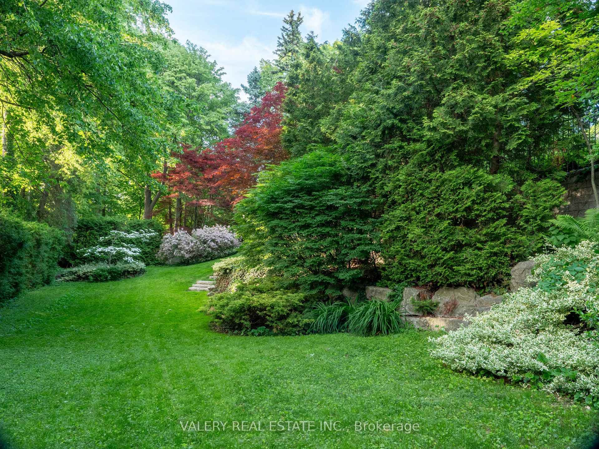 Private garden surrounded by mature greenery