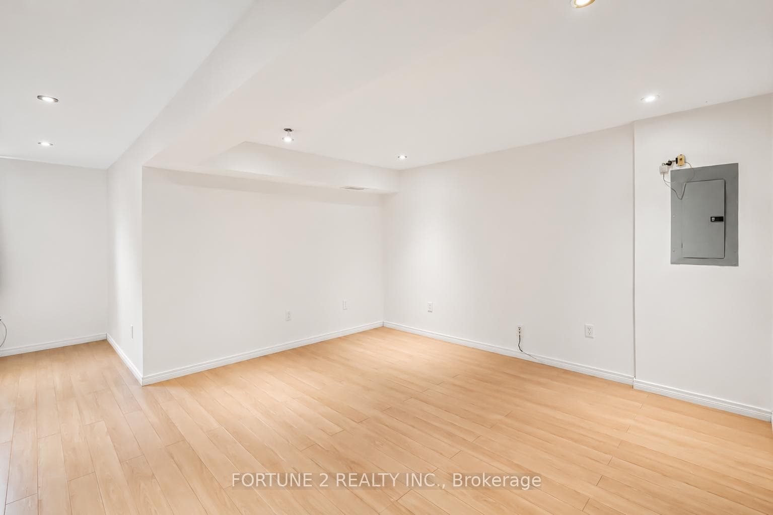 BASEMENT LIVING