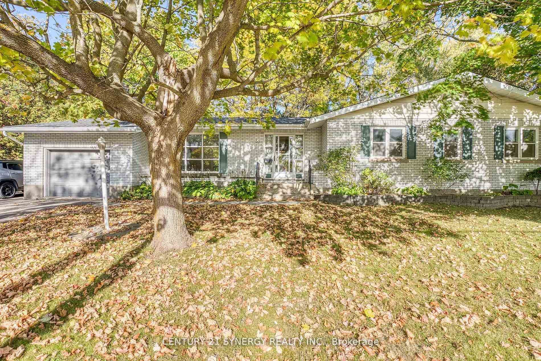 55 Drummond Street photo 30