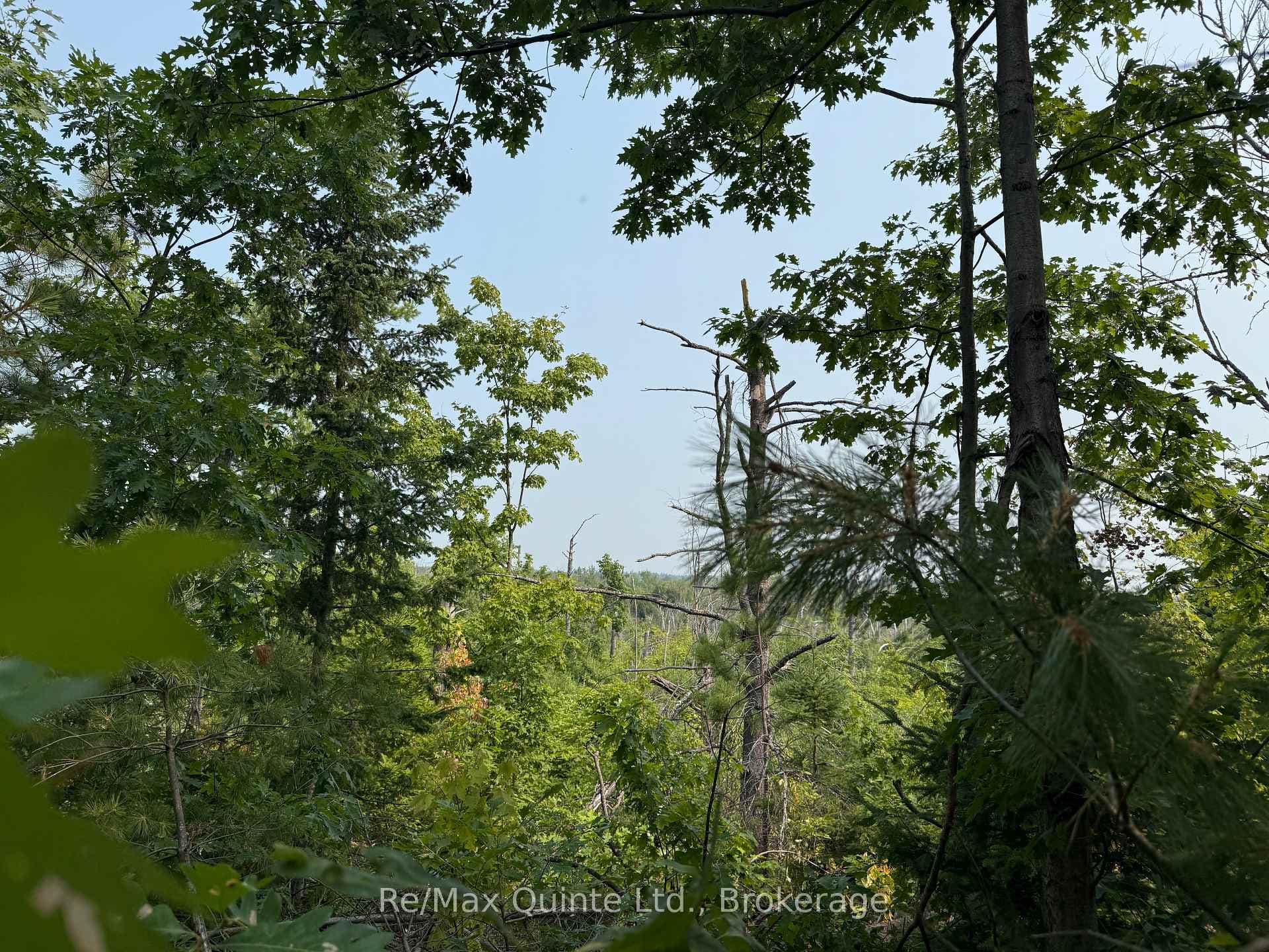 0 Potter Settlement Road photo 3