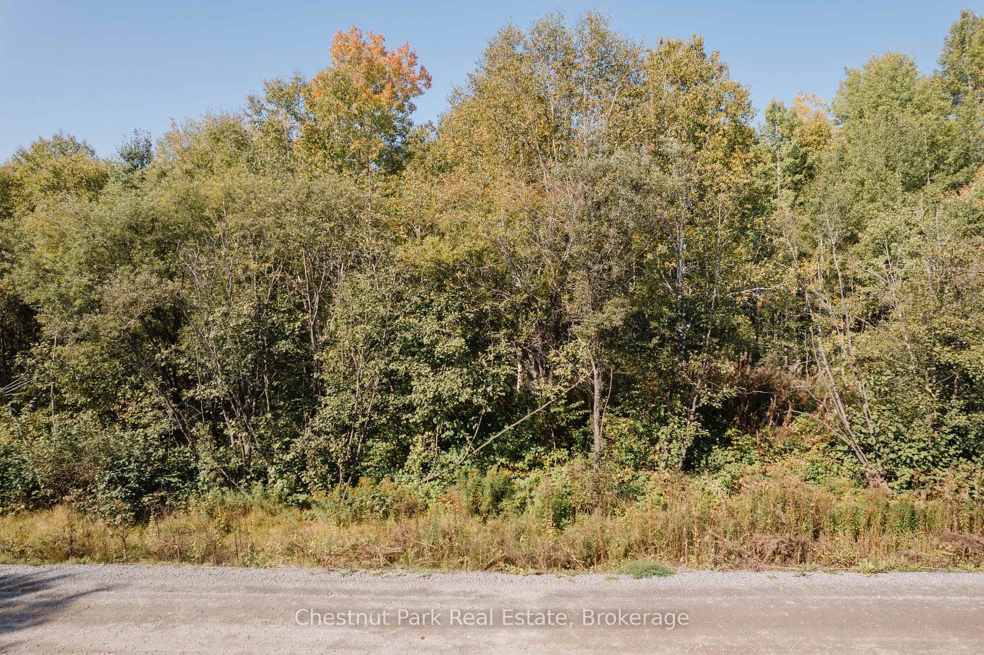 38 White Bear Court photo 12