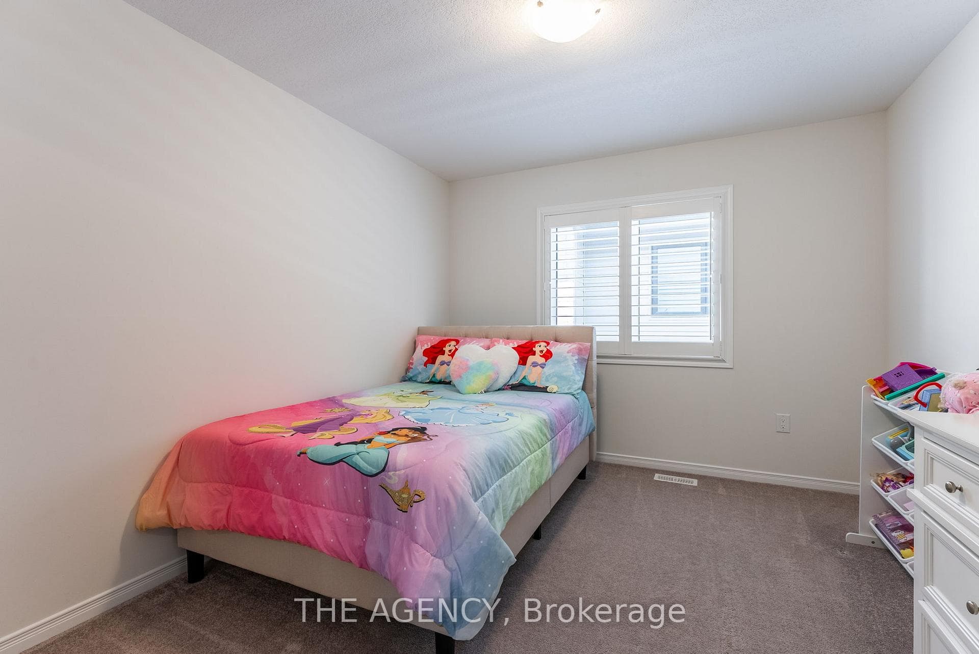 19 Richard William Drive photo 23