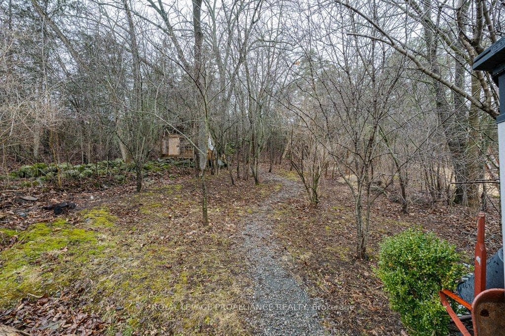 17 Kyle Court photo 45