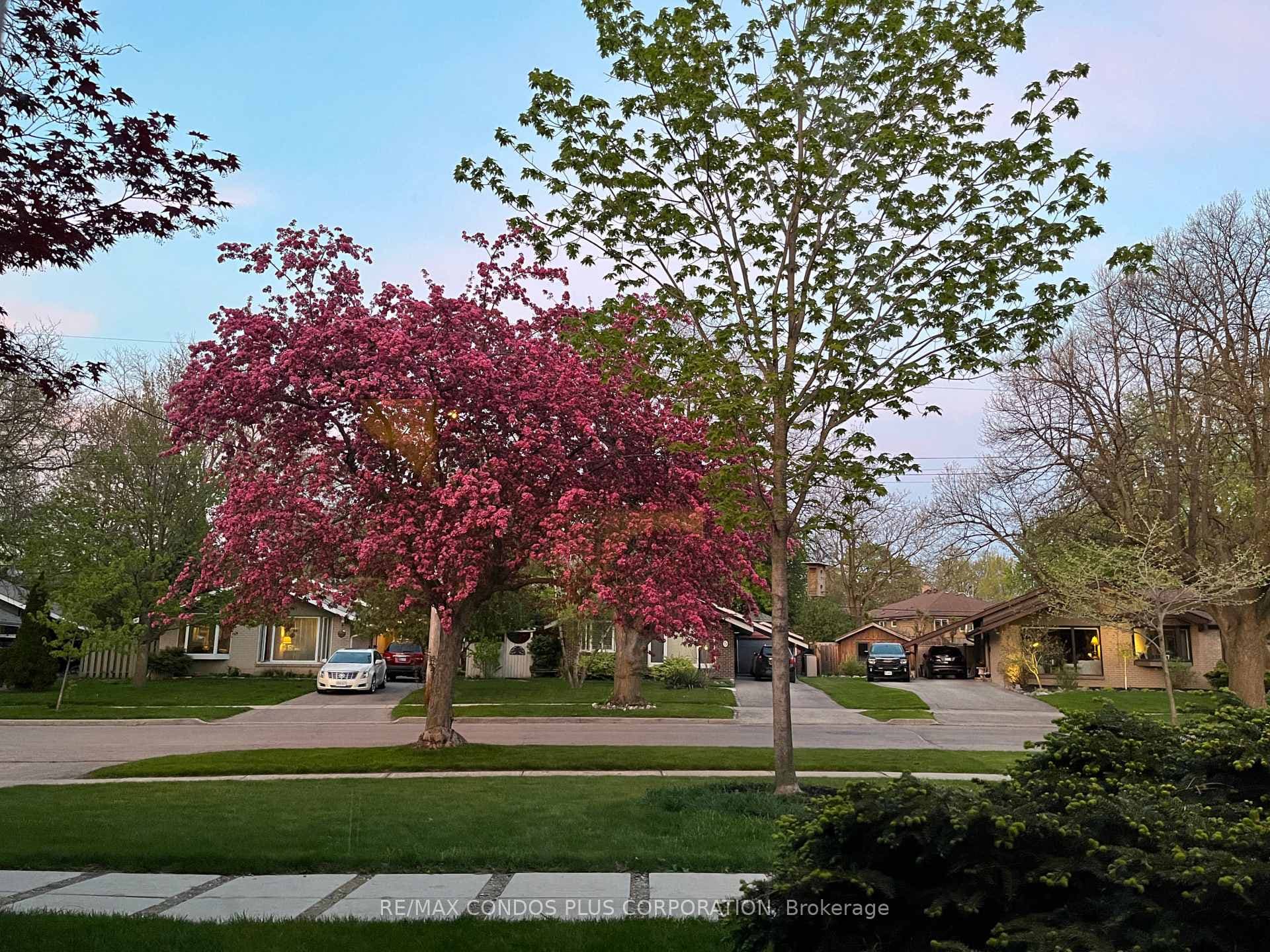 6 Munson Crescent photo 46