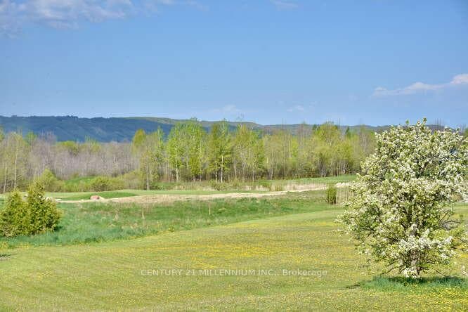 171 Escarpment Crescent photo 36
