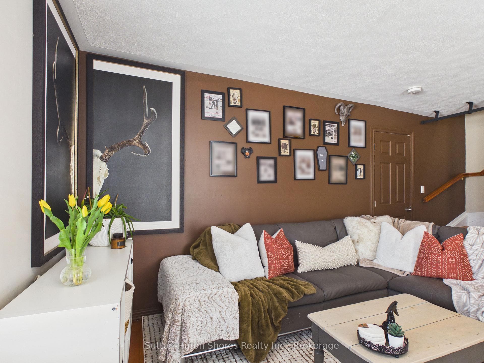 103 Amelia Street photo 20