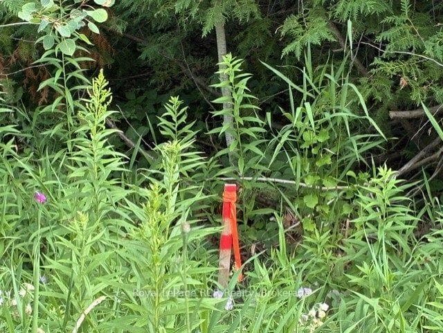 WEST BOUNDARY MARKER ON GREY ROAD 1