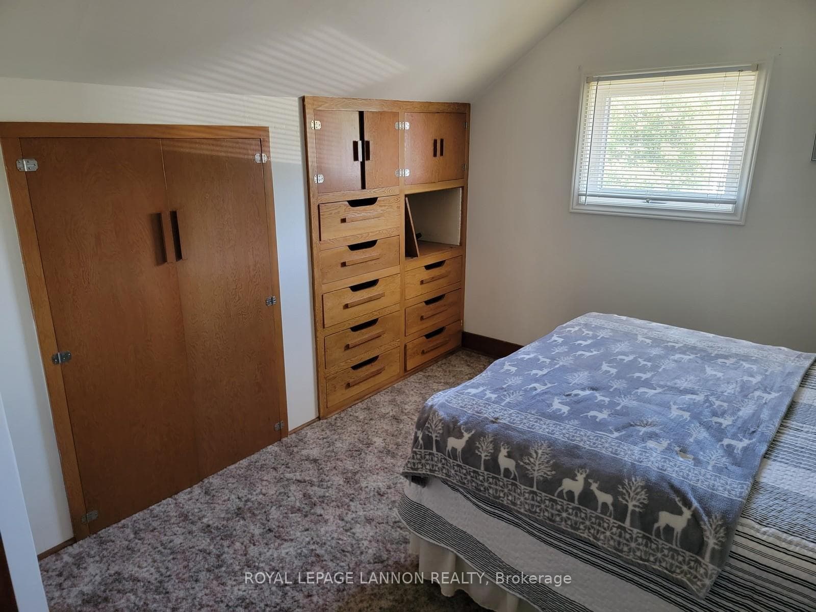 316 Newman Street photo 8