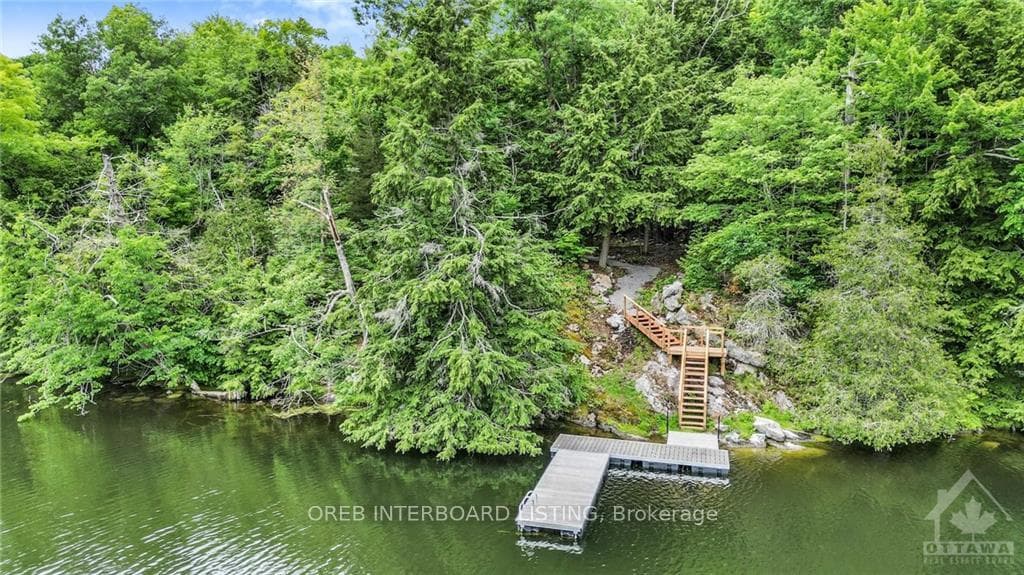 923 WHITE BIRCH Lane photo 6