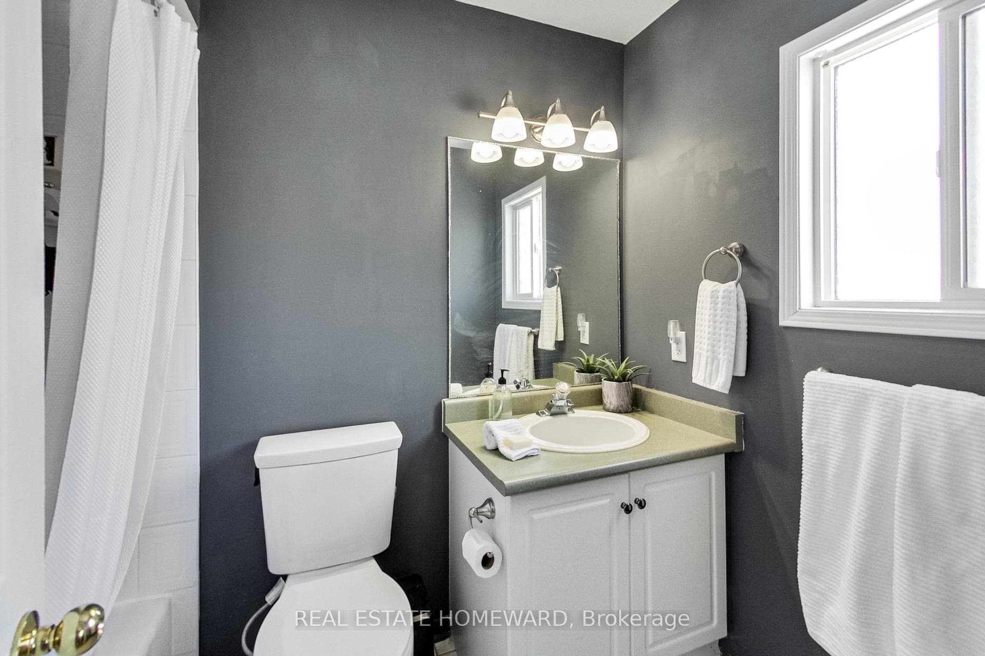 53 Bradley Drive photo 7