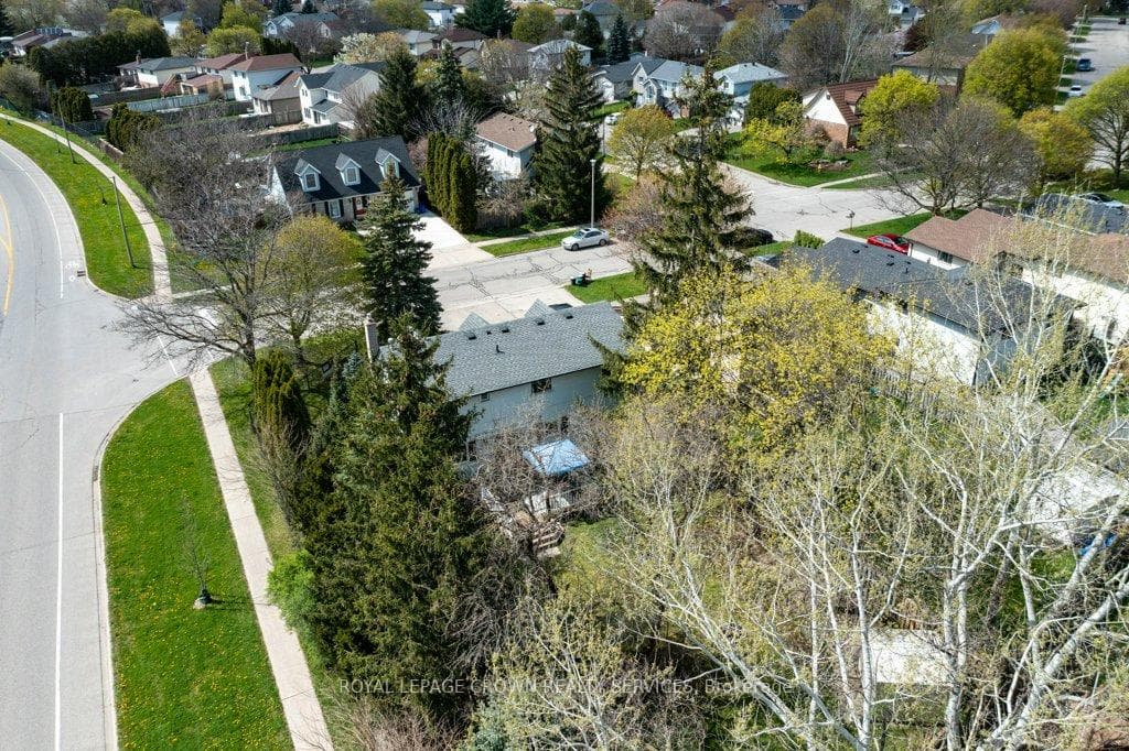 79 Hubert Street photo 39