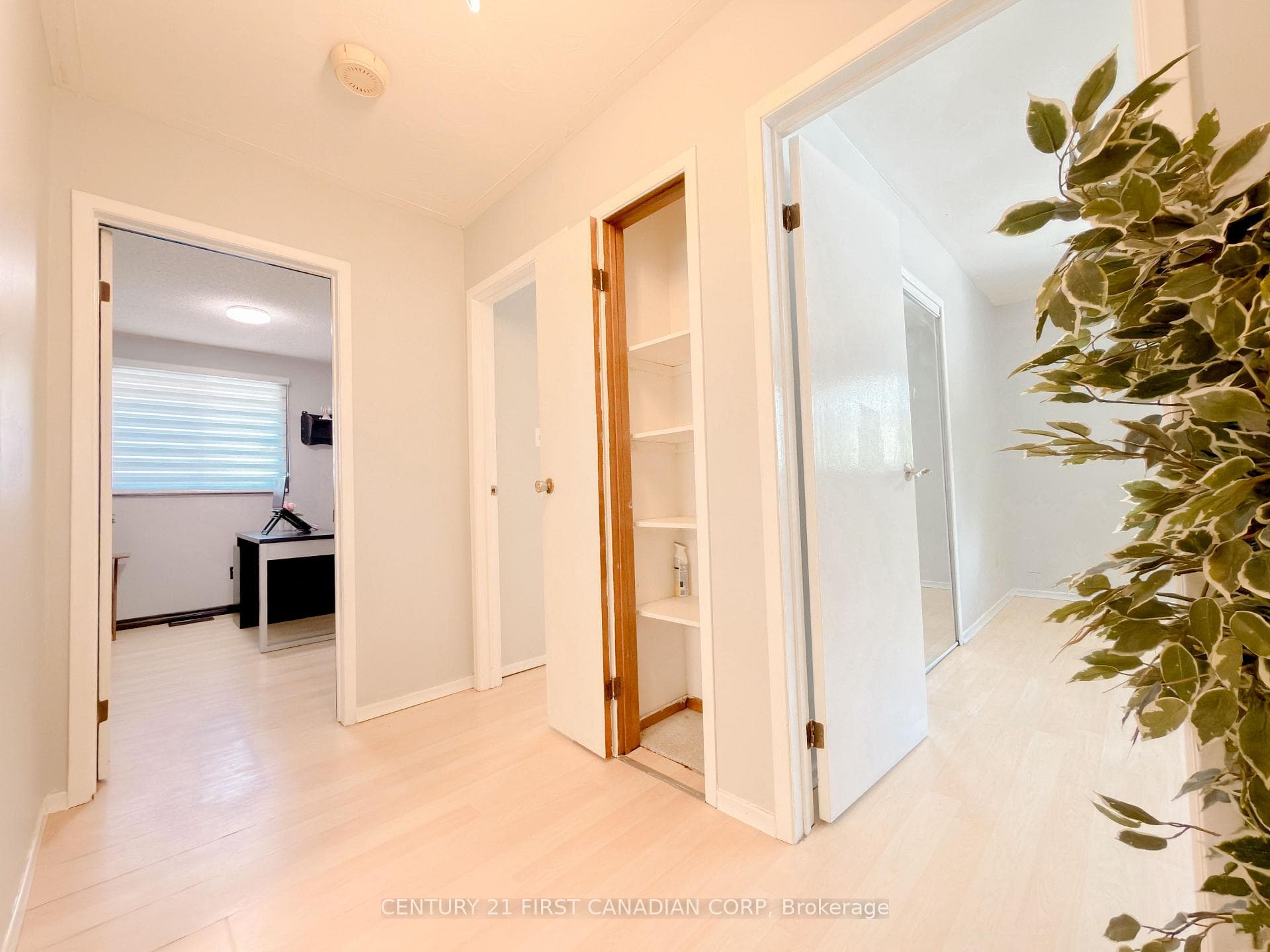 8 Poplar Crescent photo 13