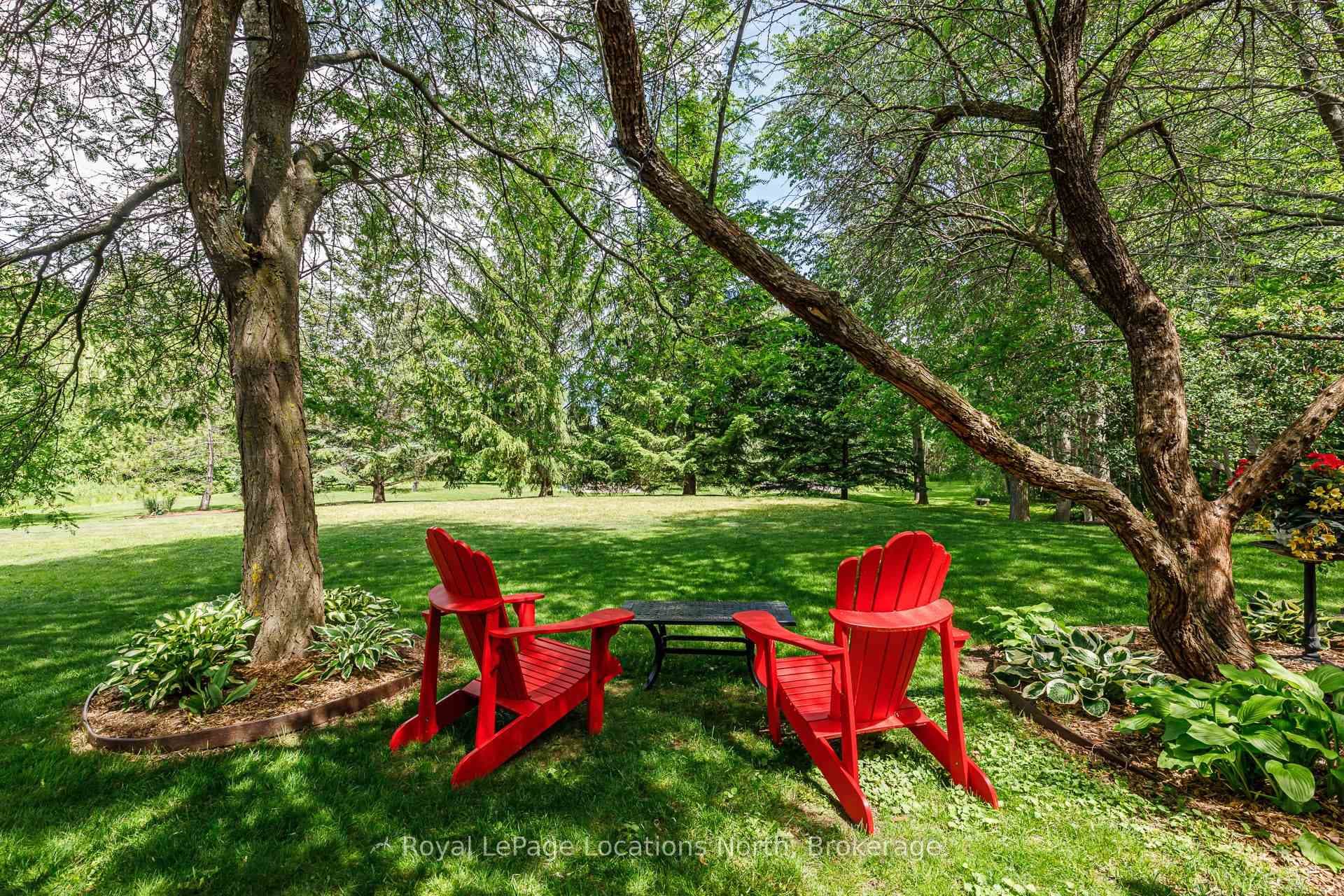 44 Blackburn Avenue photo 39