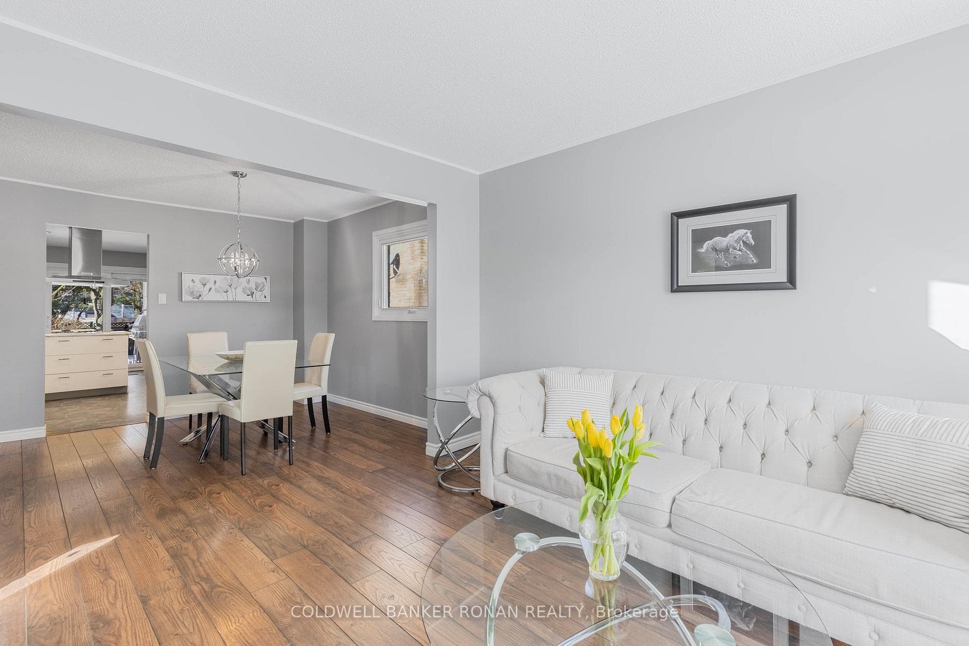 56 Hutchinson Drive photo 4