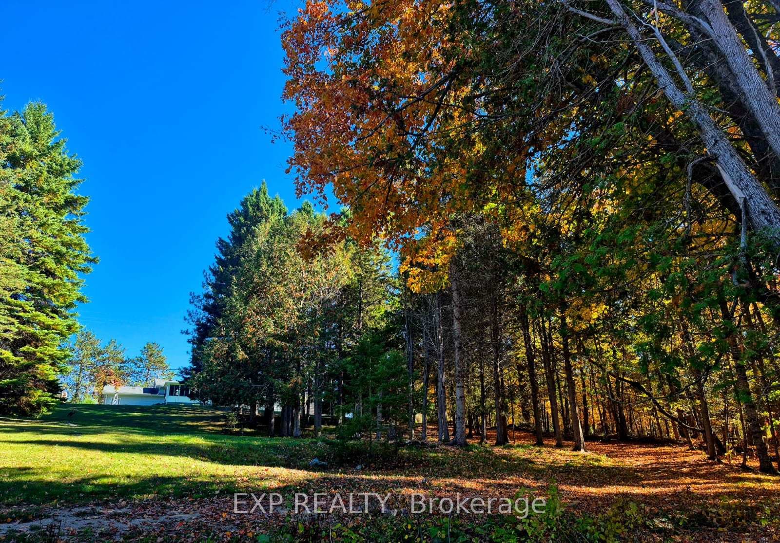 1719 Weslemkoon Lake Road photo 47