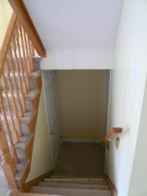 1062 Wickson Way photo 20