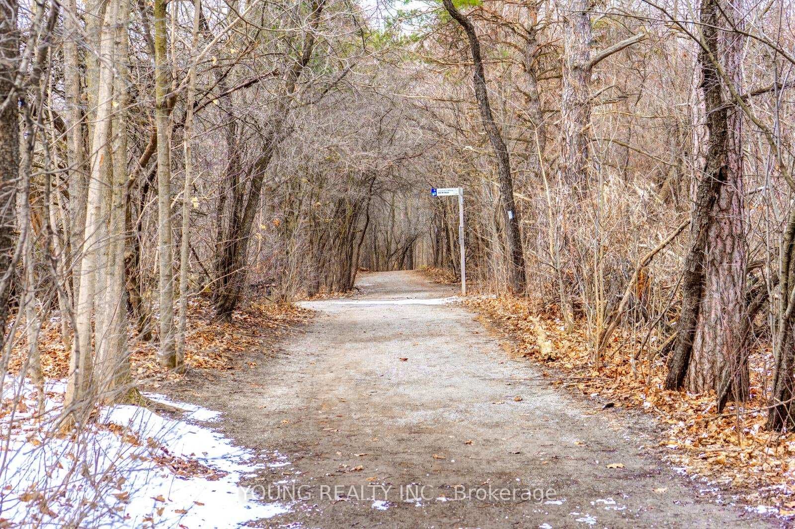 Nearby Trail System