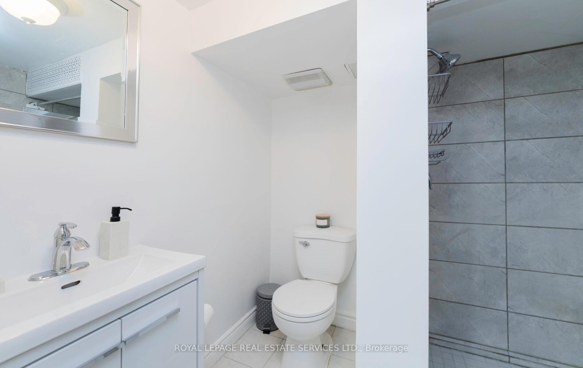 Lower level bathroom