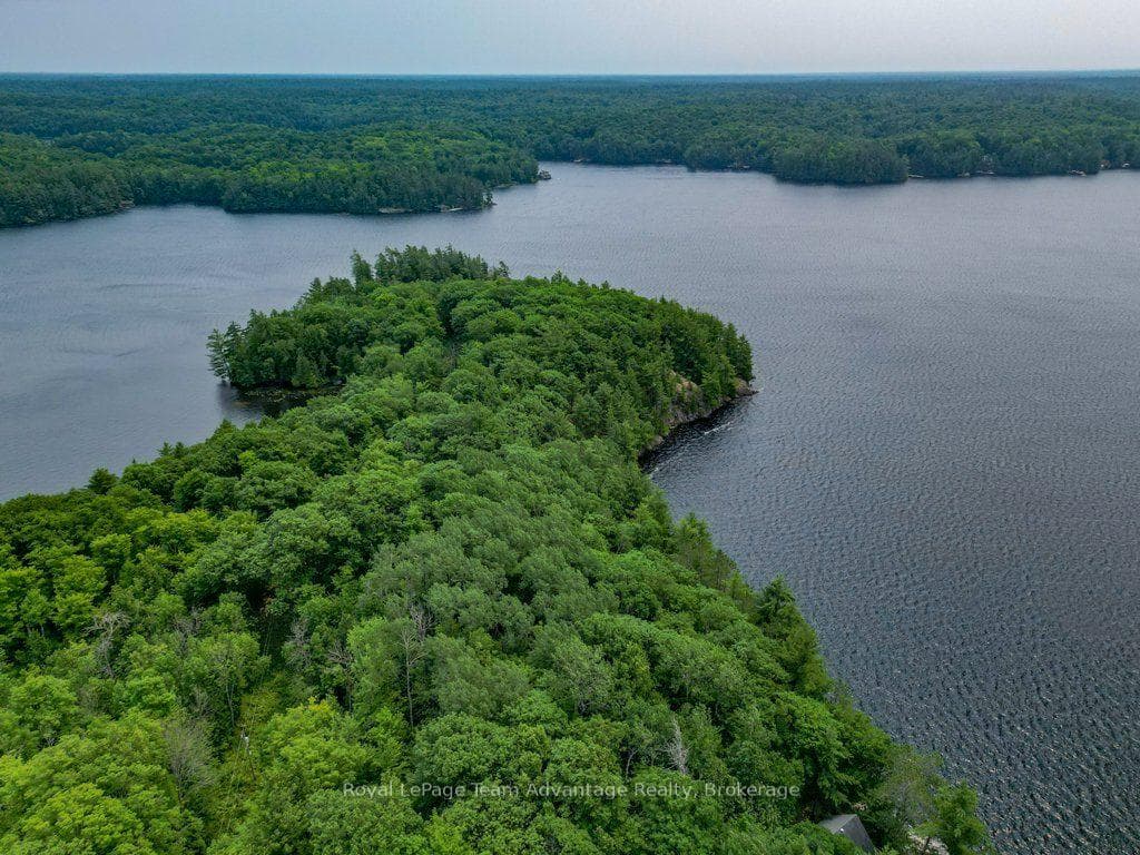 102 Blackstone Lake Water N/A photo 35