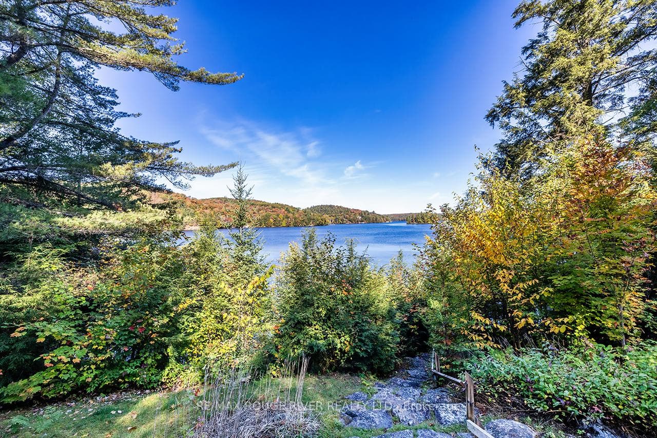 5031 Muskoka Road 117 Highway photo 12