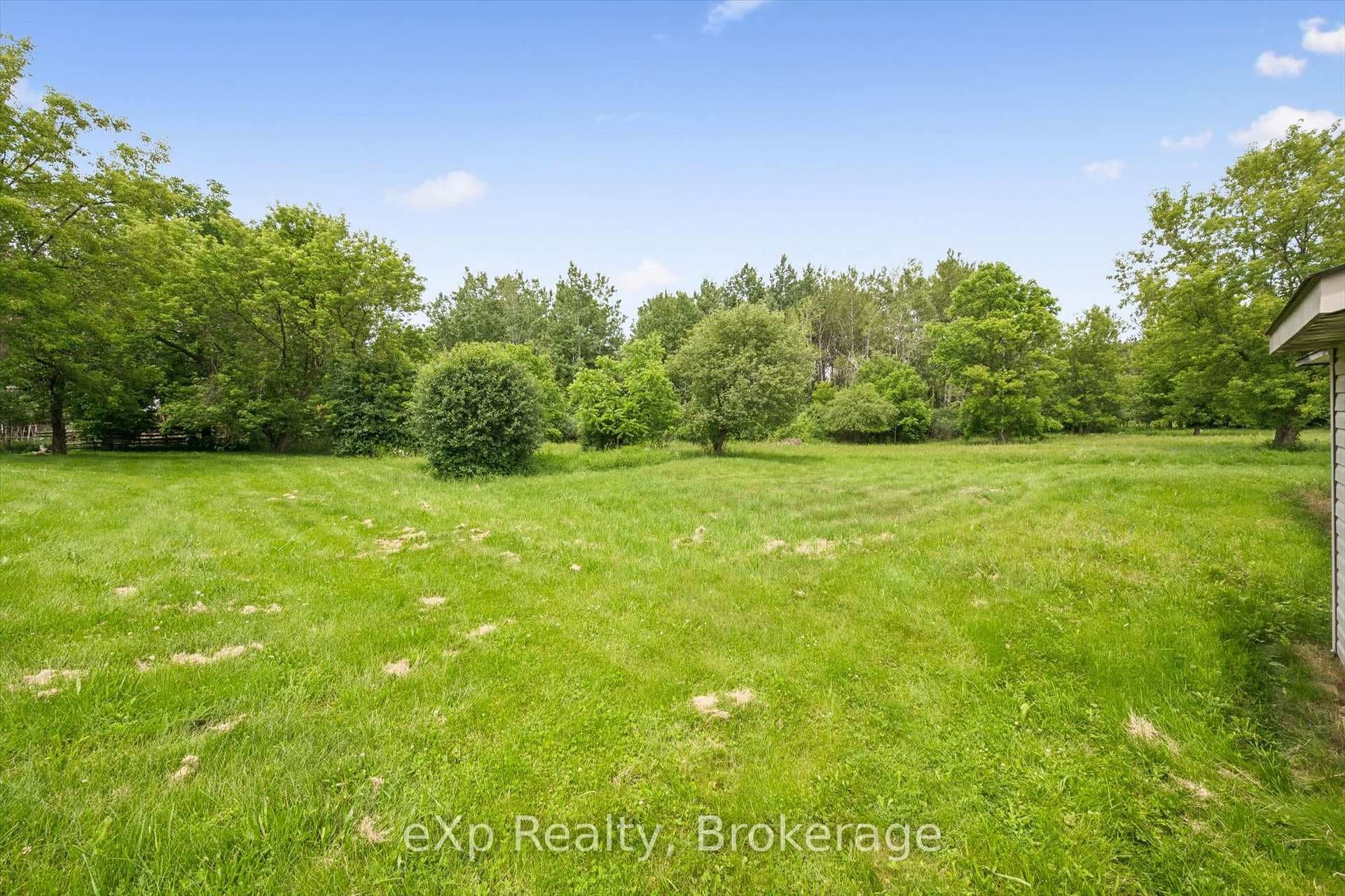 46 Hyland Road photo 4
