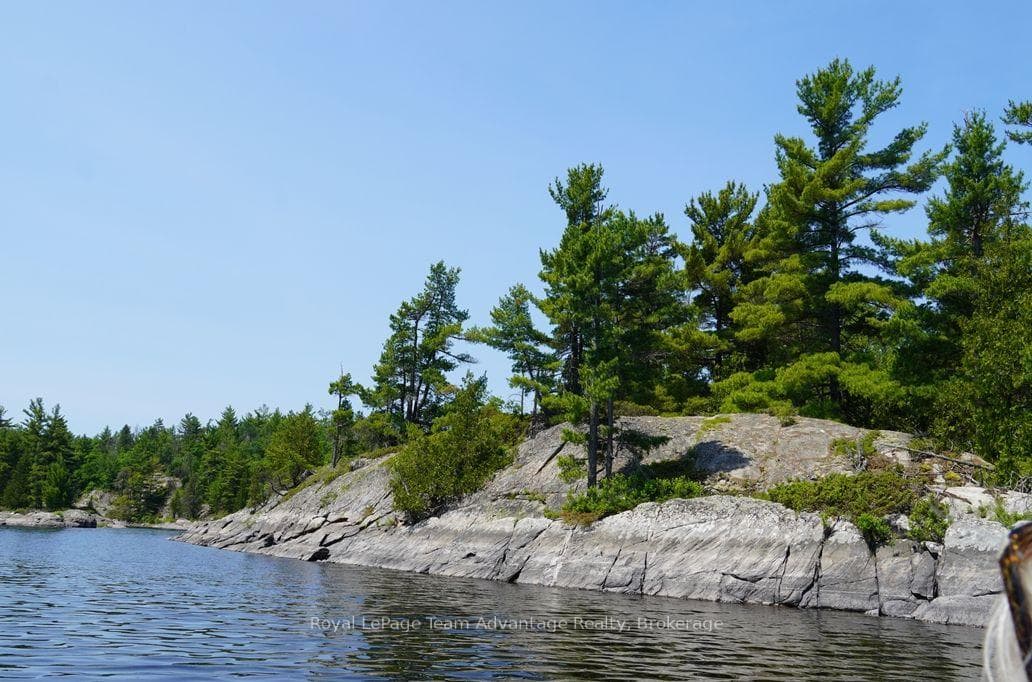 TP3411 ISLAND FRENCH RIVER N/A photo 10