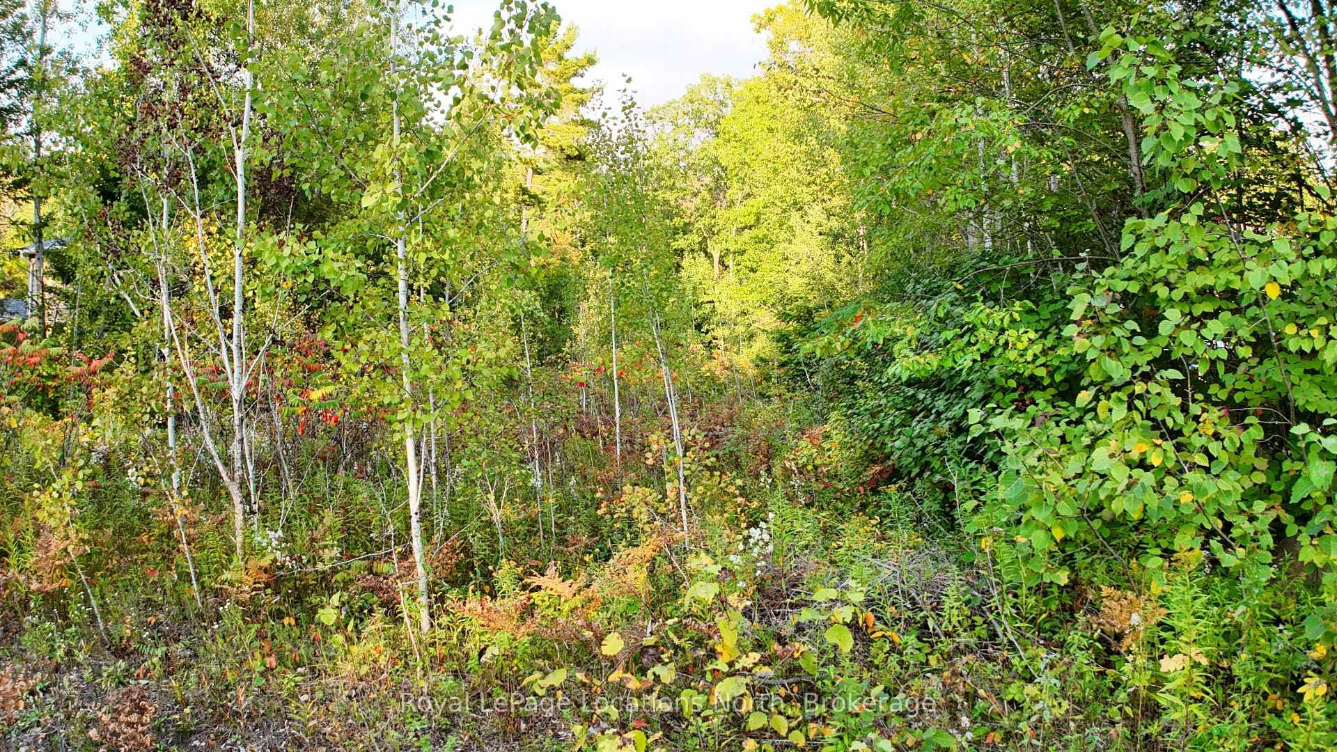 Lot 17 Ronald Ave Avenue photo 4