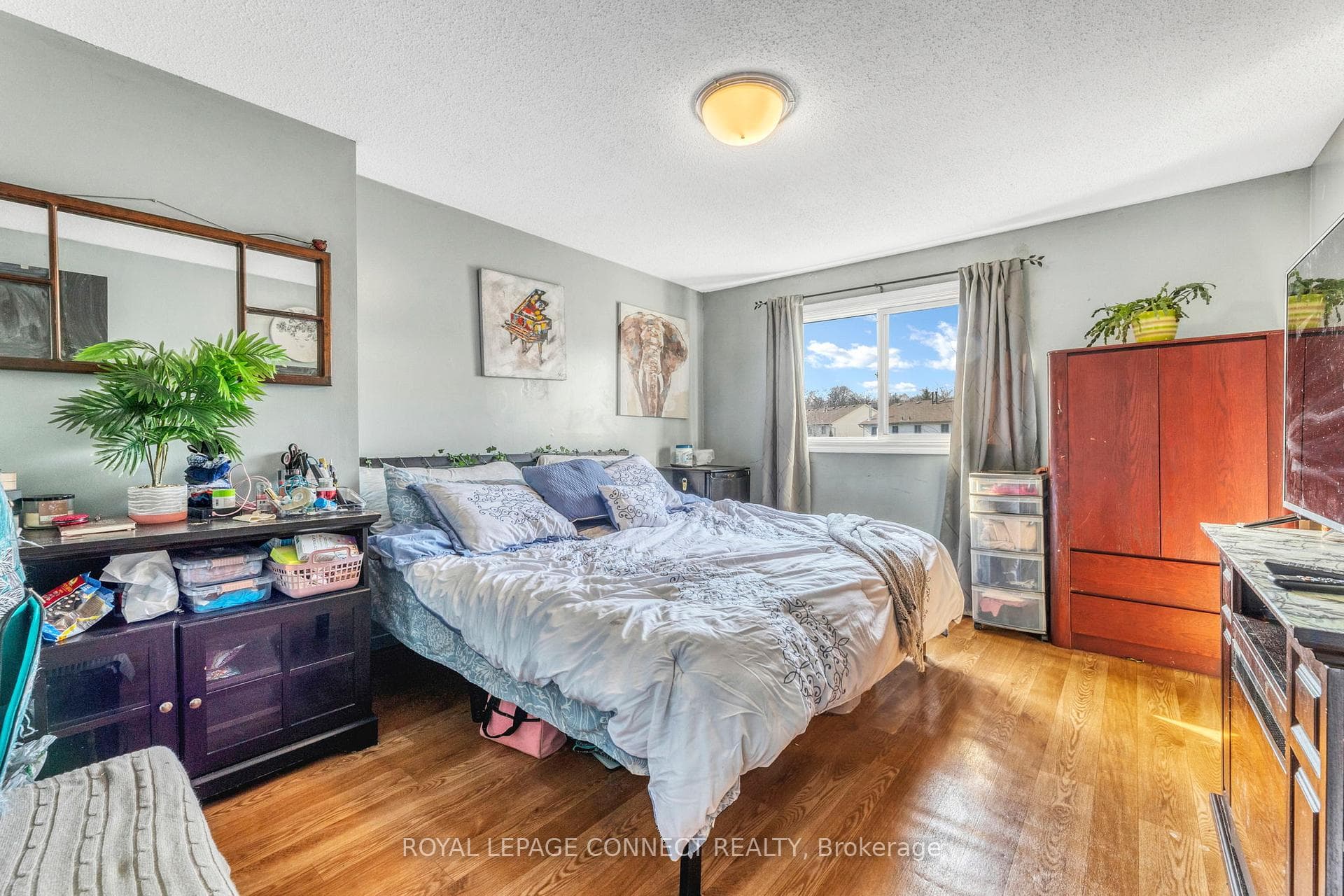6 Humphrey Drive photo 10