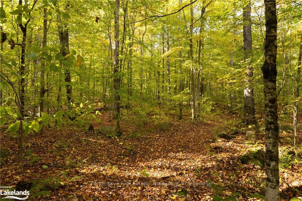 LOT 15 CON 12 SOUTH MENOMINEE LAKE Road photo 13