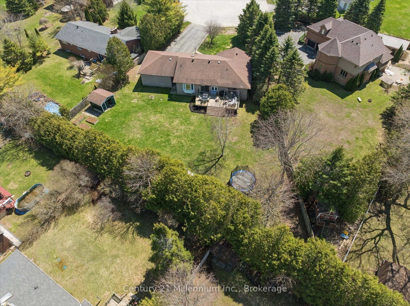 4 Blackburn Avenue photo 47