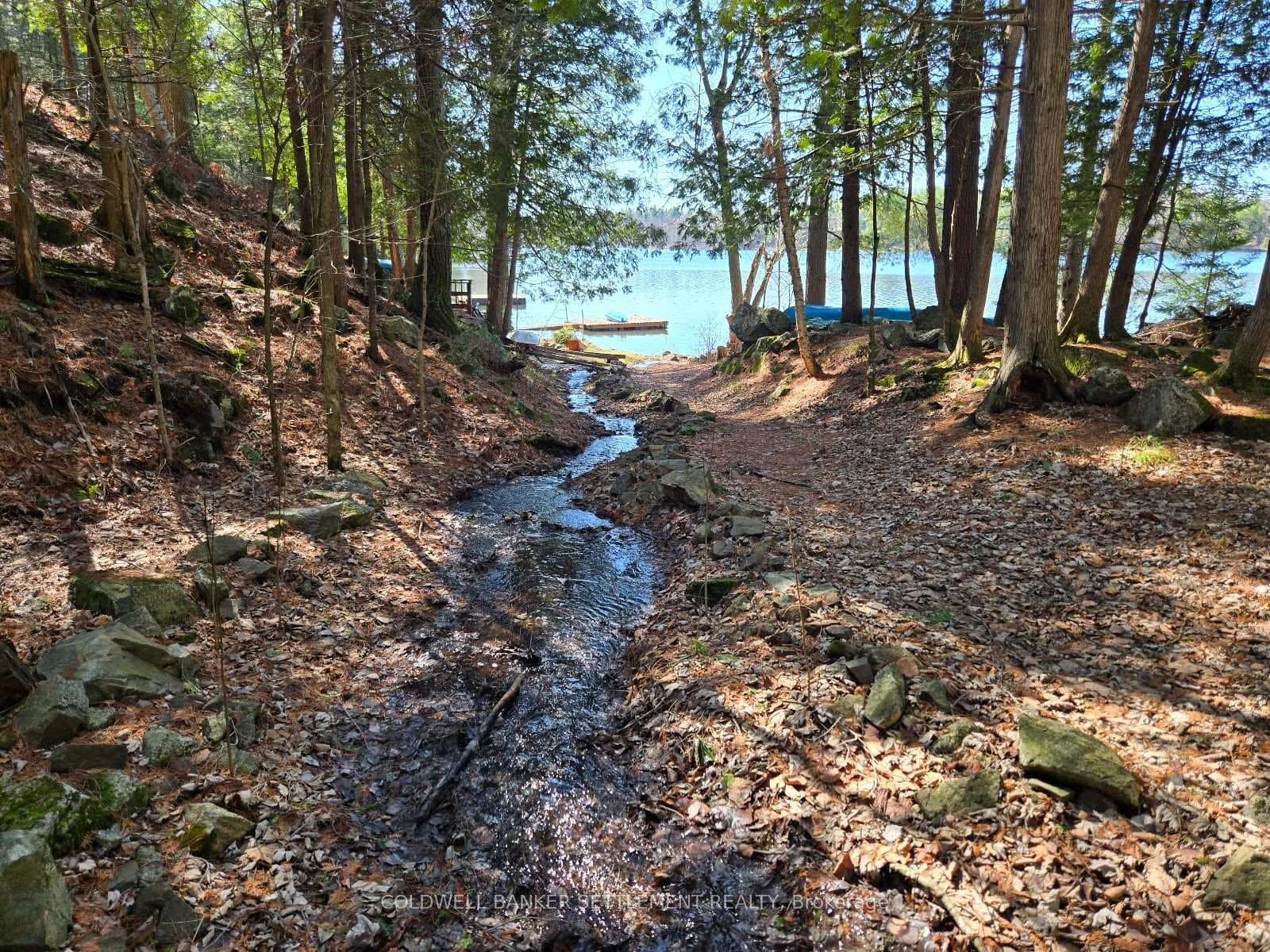 Babbling brook to the shore
