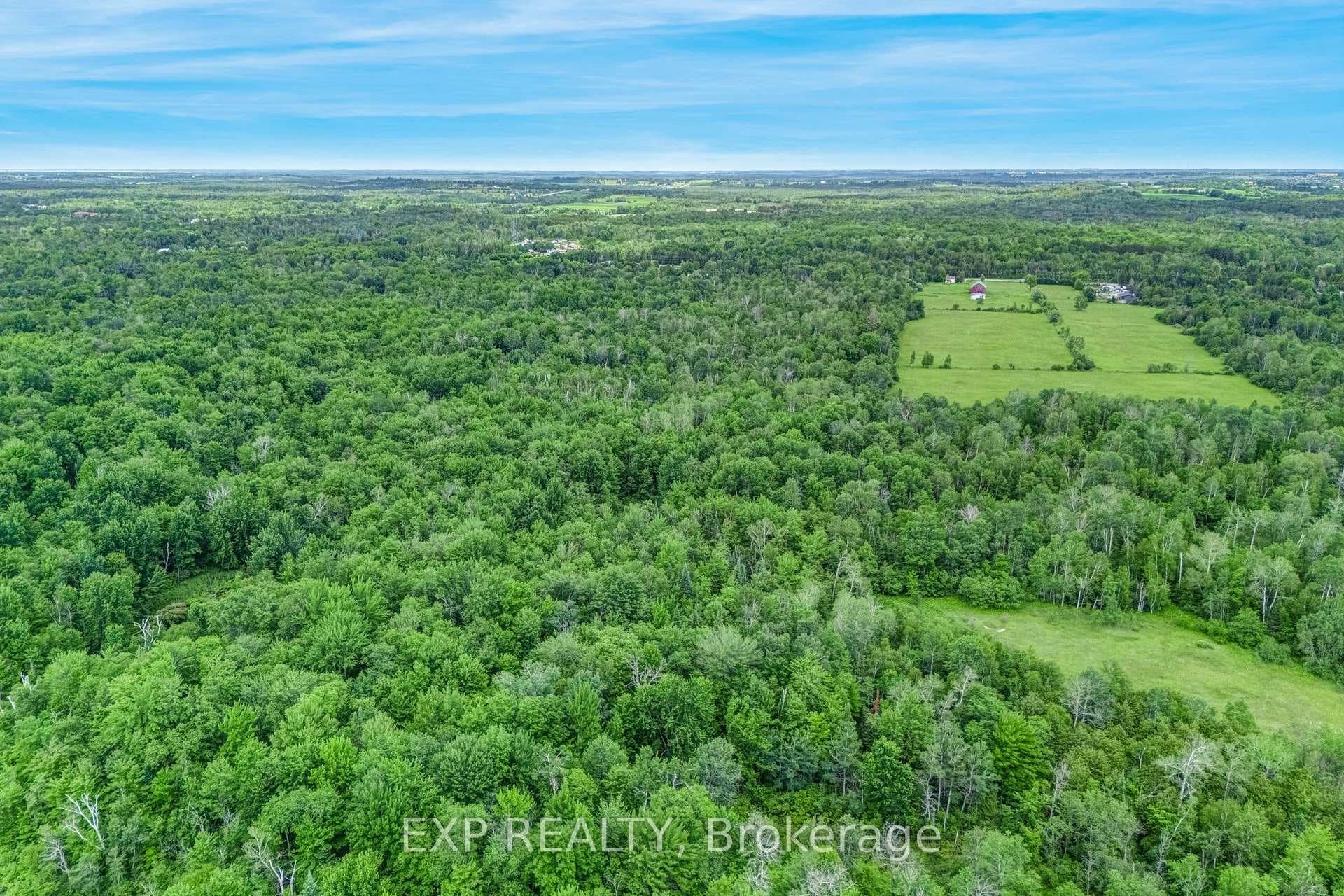 22262 Highway 48 N/A photo 8
