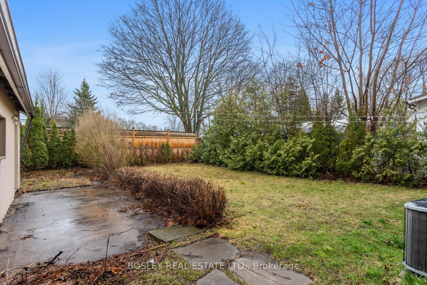 125 University Avenue photo 33