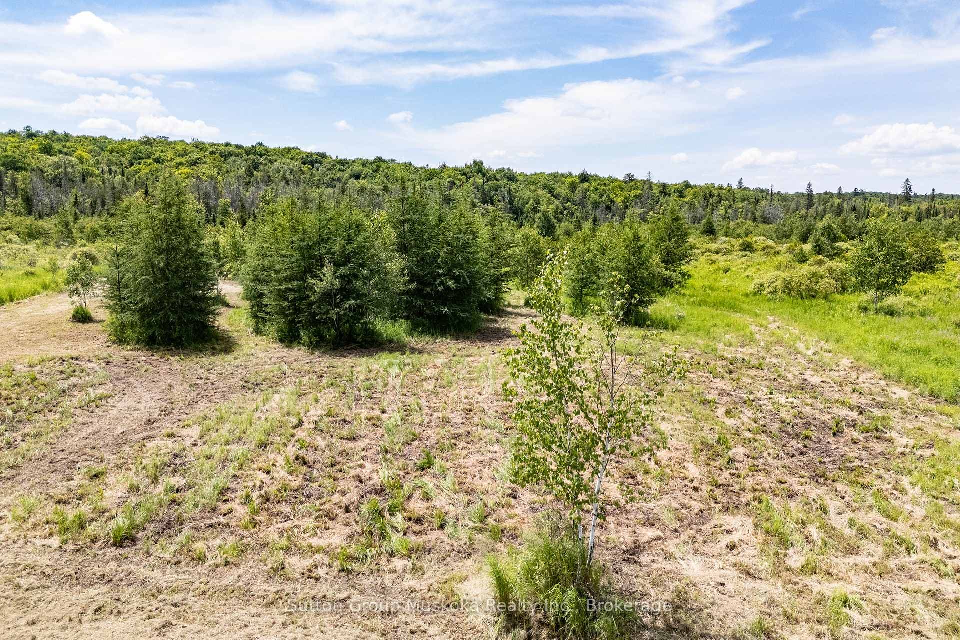 530 Clearwater Lake Road photo 19