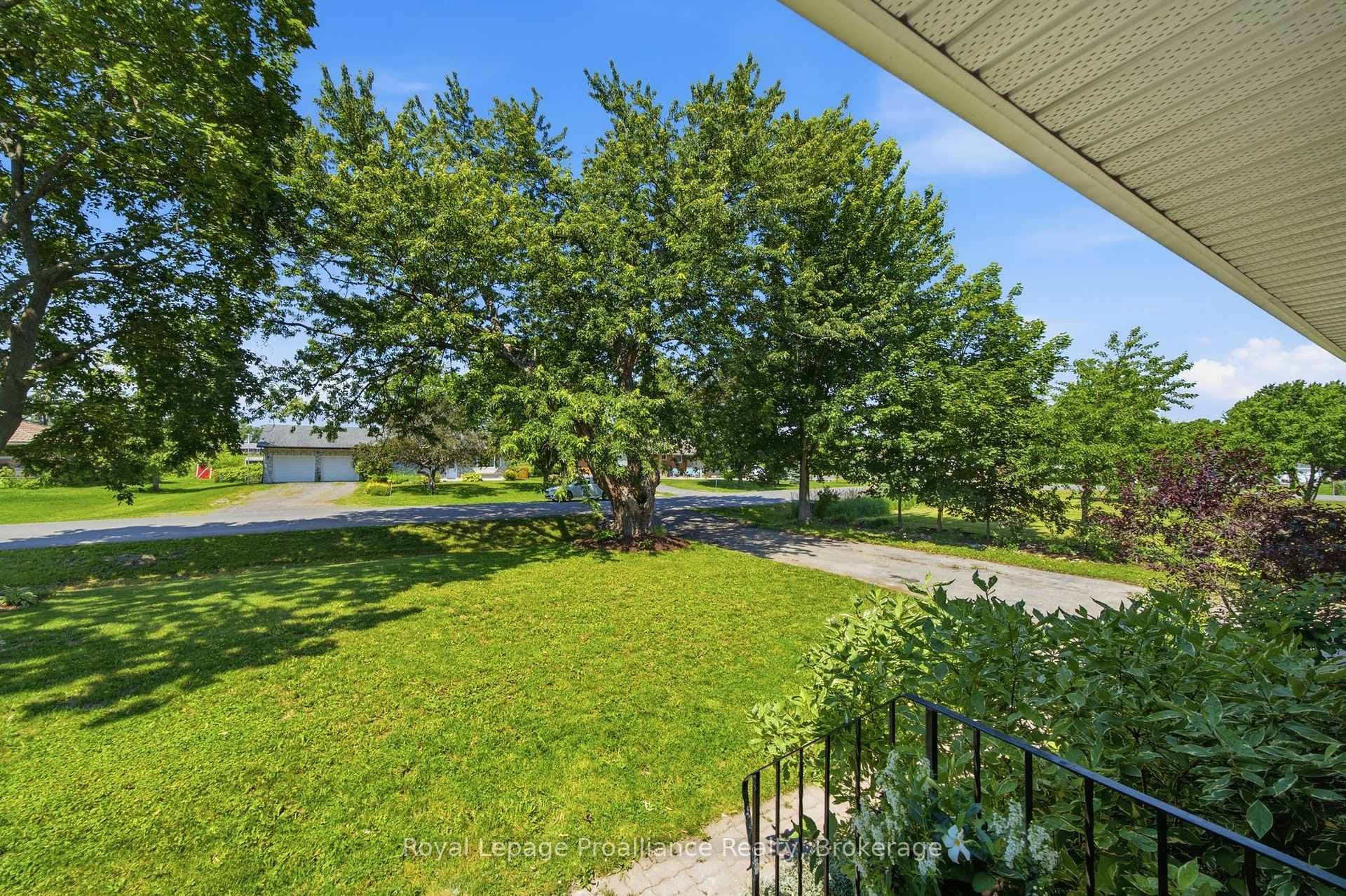 41 WALTER Avenue photo 5