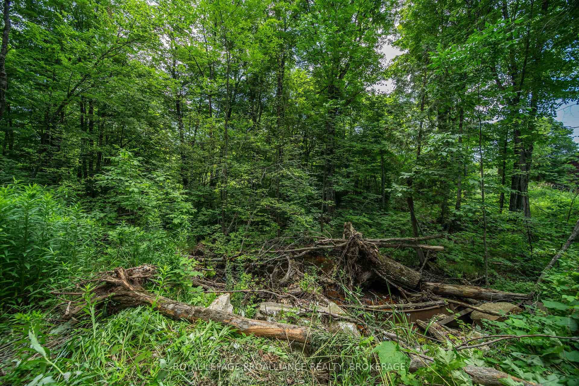 LOT 18 Part 1 Townline Road photo 11