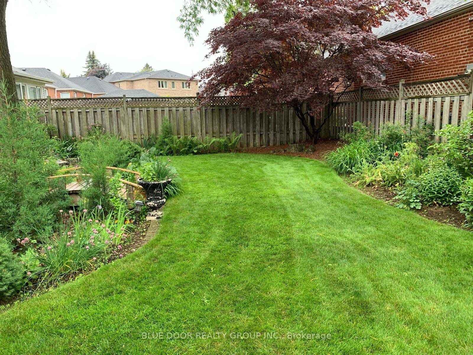 Yard in Bloom