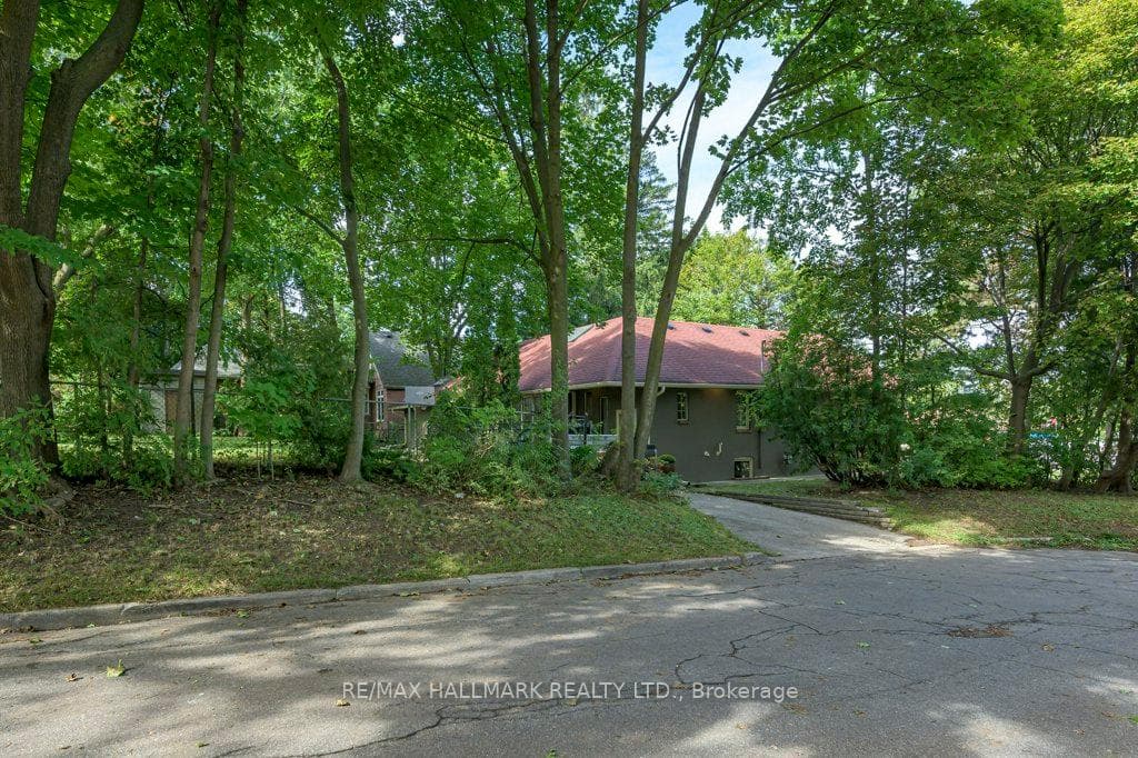 26 Whitman Street photo 40