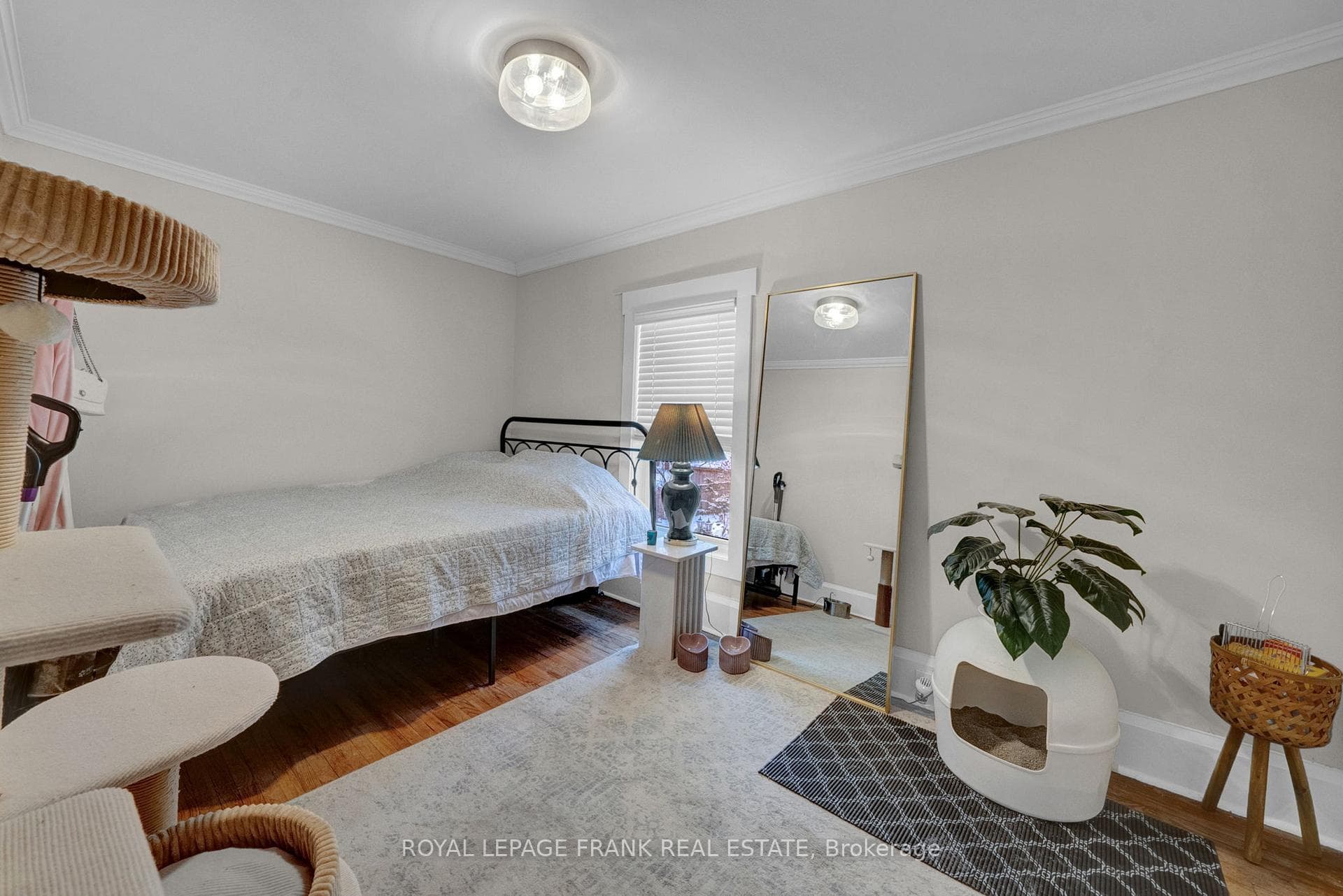 86 Roxborough Avenue photo 28