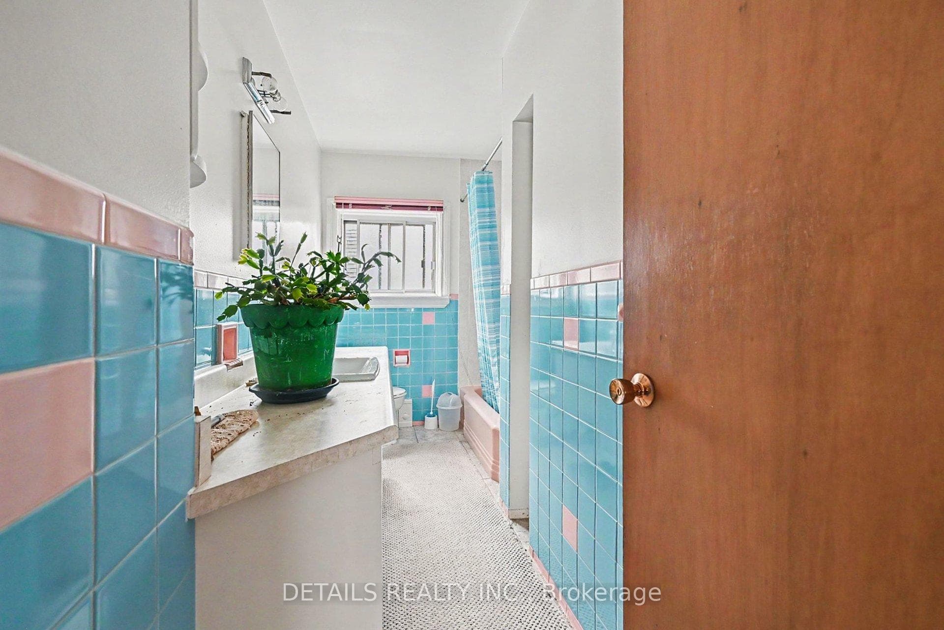 294 Donald Street photo 19
