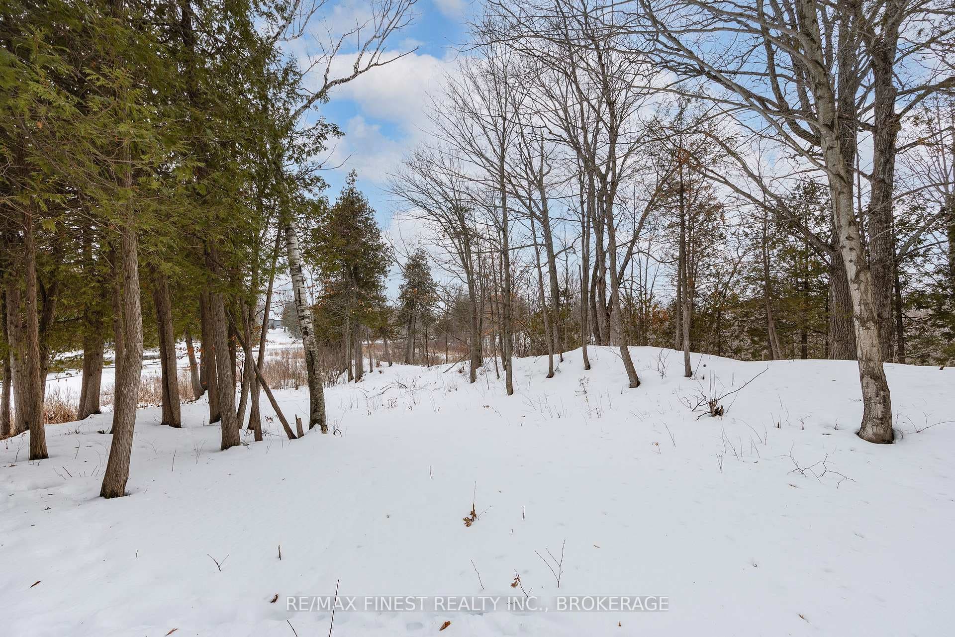 5885 Davey Drive photo 39