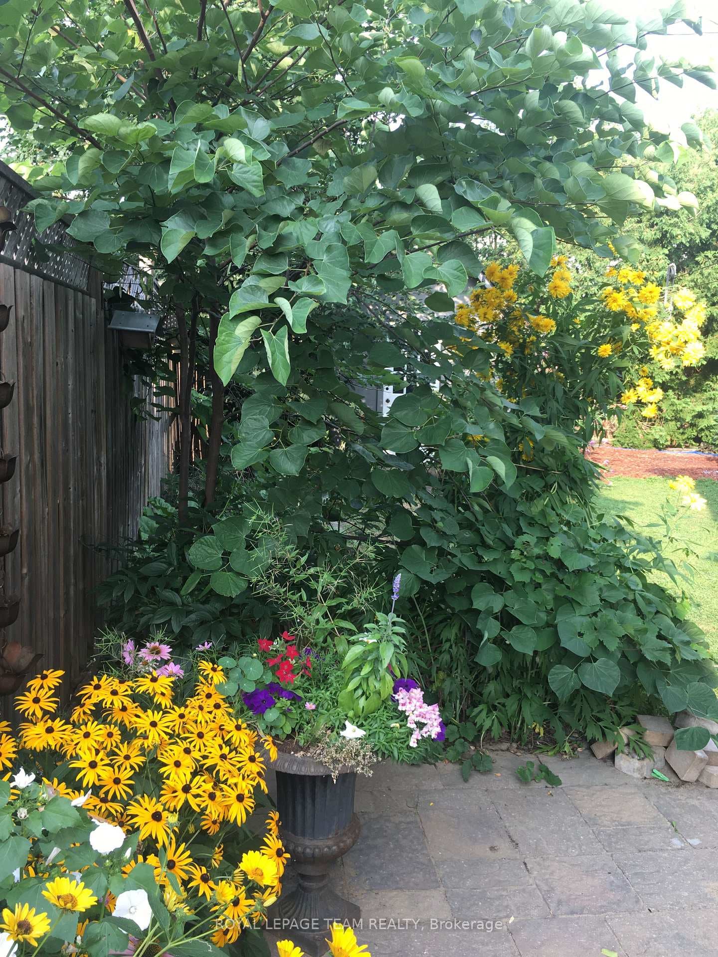 1231 Agincourt Road photo 37