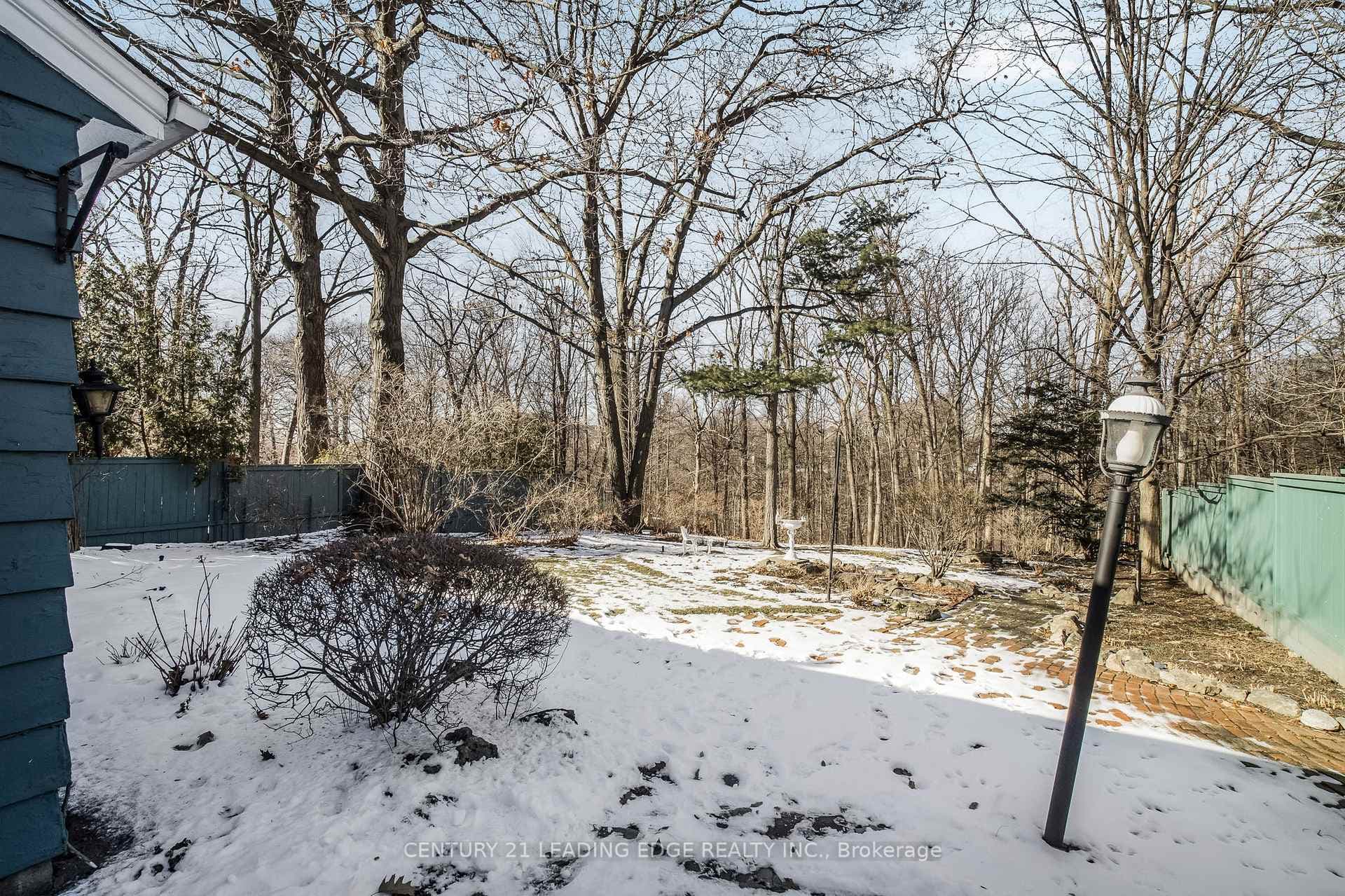 50 North Park Drive photo 15